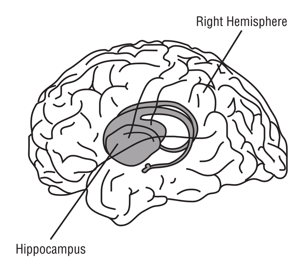 夜貓朋友必讀– 三個必知的睡眠科學知識 3 夜貓朋友必讀– 三個必知的睡眠科學知識 3